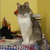 Отзыв от Вероника Антипова